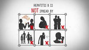 not spread HBV by