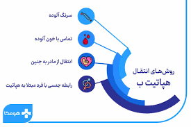 HBV transmission