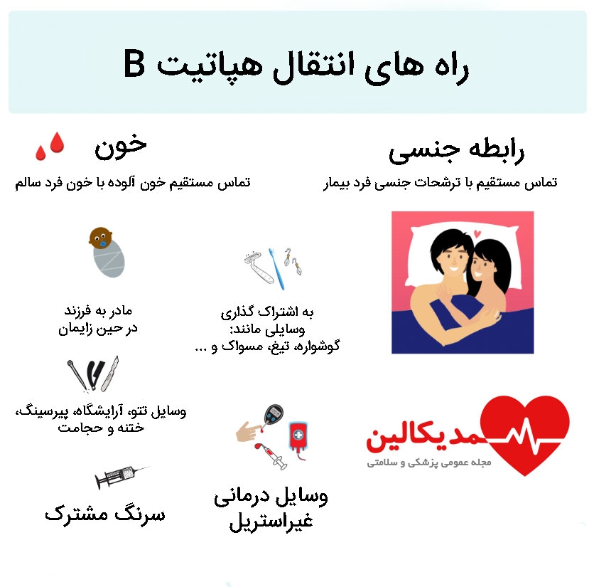 transmission HBV